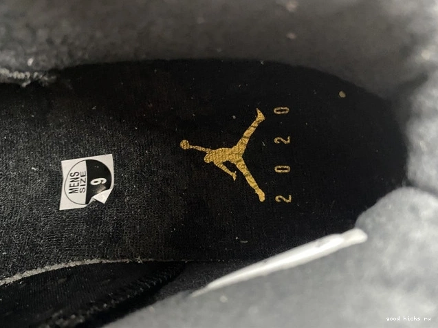 Air 6 Jordan (2020) CT4954-007 DMP Retro 0807